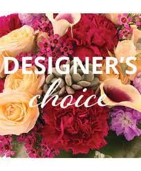 Designer's Choice